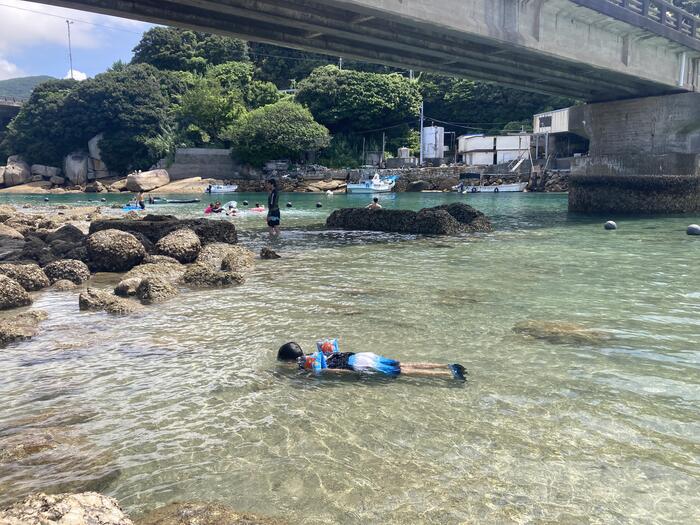 橋の上から海を見ても、海の中で泳いでいる魚がしっかり見え、底まで透けているかのような驚きの透明度