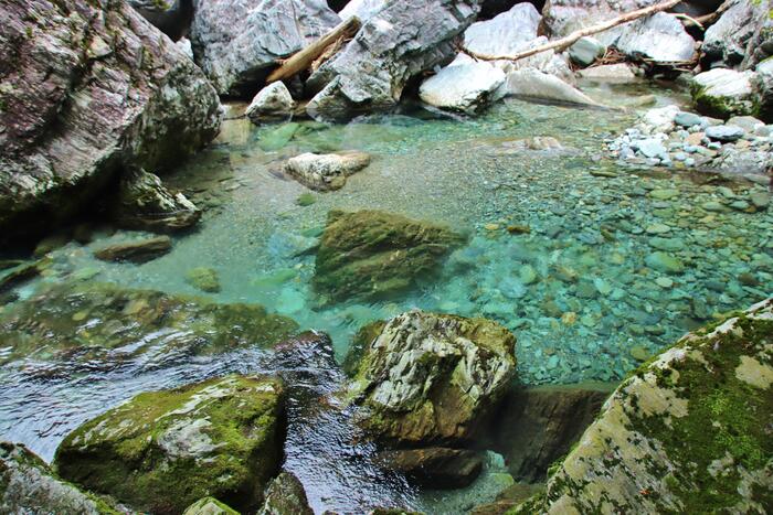 植物の根が大きな岩を割ってできたという「せり割洞穴」