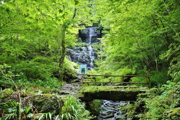 安居渓谷の散策エリア内には「飛龍の滝」「背龍の滝」「昇龍の滝」と三つの滝があります