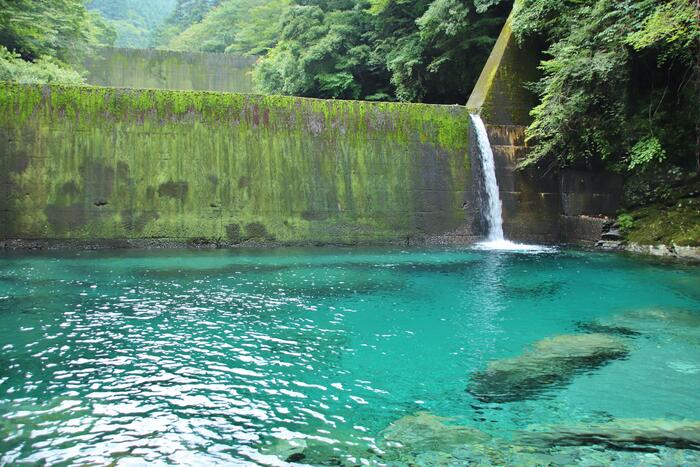 砂防ダムの下あたりは水深もあり、より深く濃い仁淀ブルーが楽しめます。