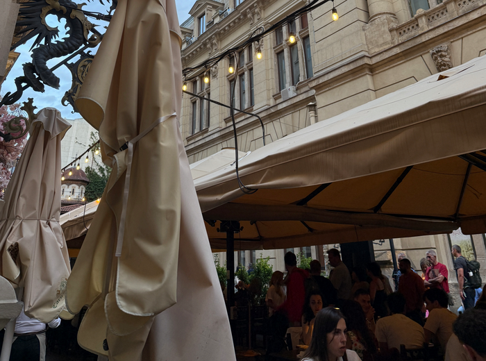 美食とワインで味わうルーマニア