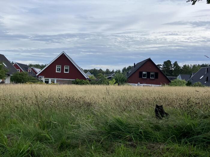 保育園で外遊びが大切にされ、自然に触れる機会が多い　秋景色