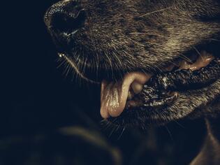 ブログイメージ