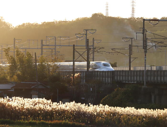 ＜新幹線を背景に季節の移ろいを捉えようと、多くのカメラマンも訪れる＞