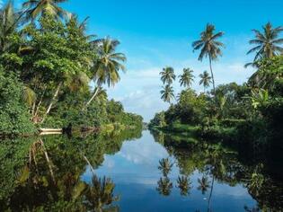 ブログイメージ