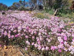 ブログイメージ