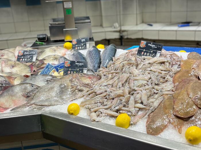 ピカピカ輝く新鮮は魚たち！魚、海老、蟹、貝など種類も豊富