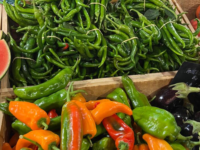 バスク野菜といえば、ピーマンと唐辛子