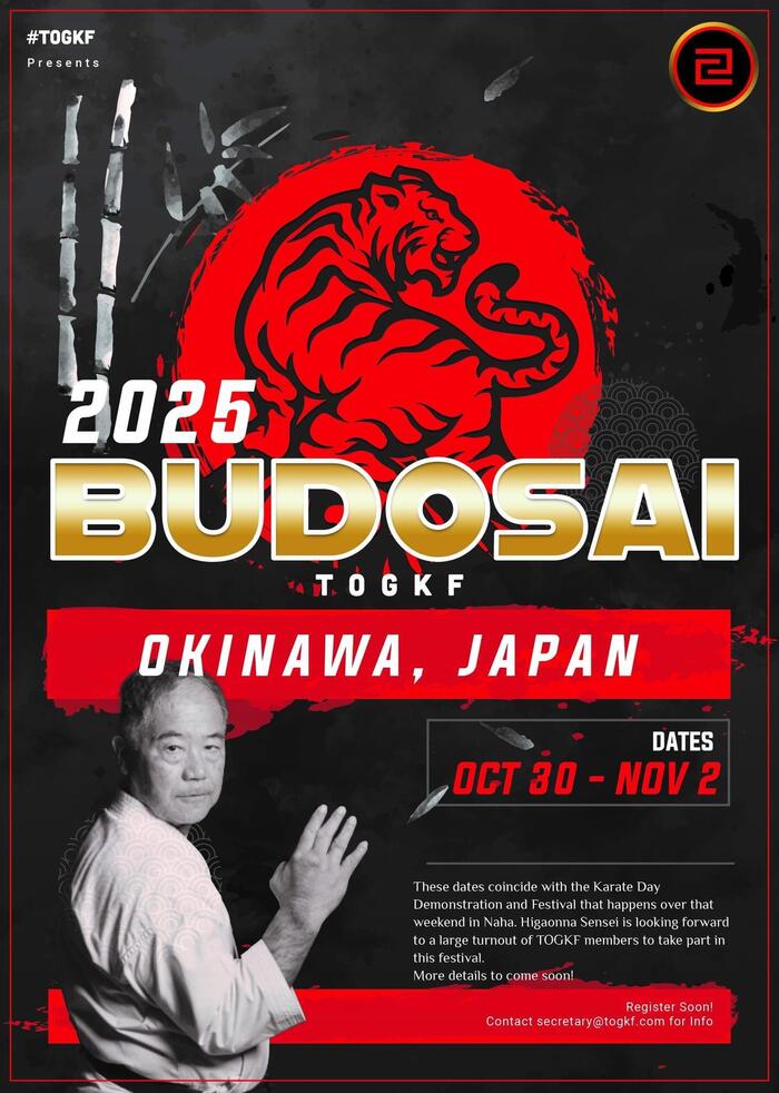 025年10月30日から11月2日にかけて第10回世界武道祭を実施