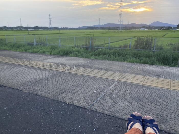 夕暮れの田園風景