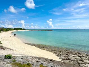 ブログイメージ