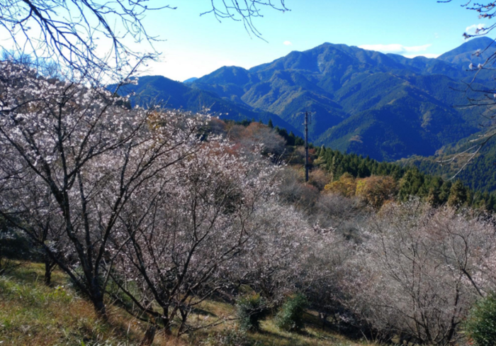 スクリーンショット (106).png