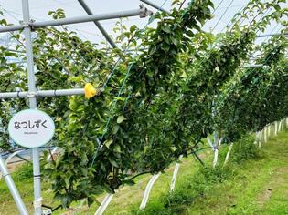 ブログイメージ