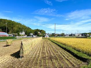 ブログイメージ