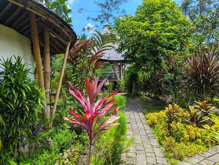 マナキッチン・ヴィラエリア