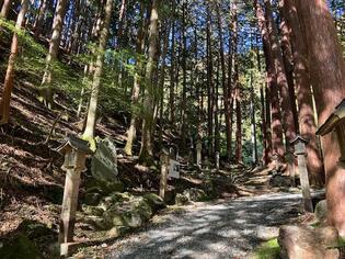 ブログイメージ