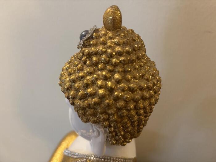 仏像の螺髪（らほつ）に似ているカスタードアップル