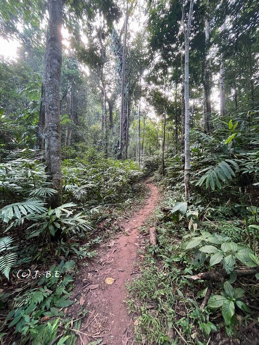 ナムハー自然保護区