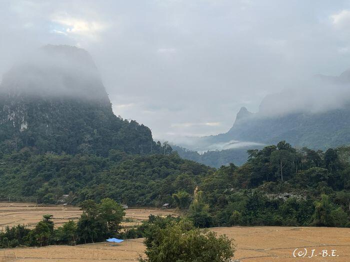 のどかな田舎の朝靄