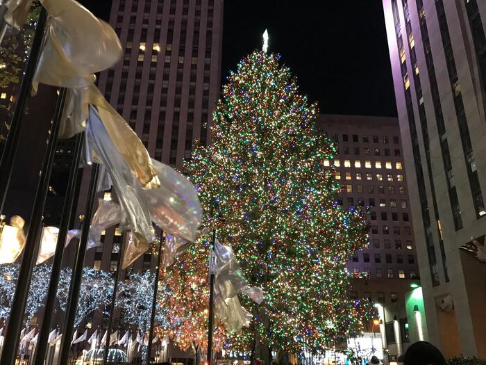 ロックフェラーツリー