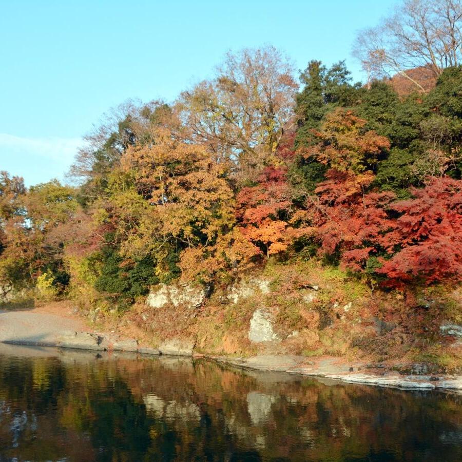 【長瀞紅葉ガイド】荒川や宝登山が紅葉に彩られバラエティー豊かな秋の絶景スポットに恵まれる長瀞