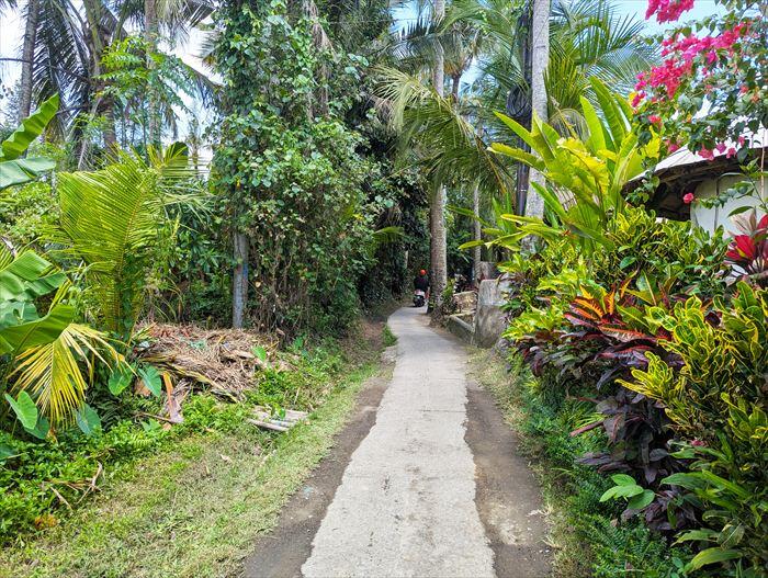 マナ・アースリー・パラダイス前の路地