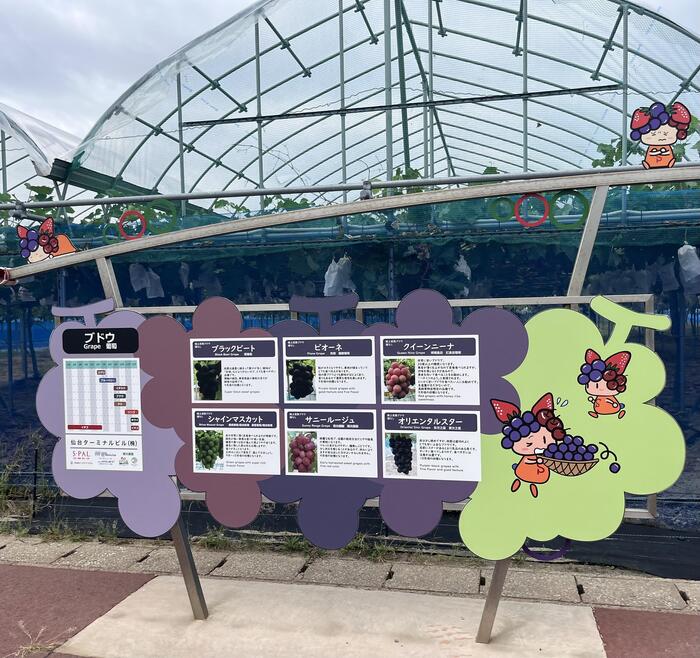 ハウスの前には、中にどんな品種の果物が植えられているのかわかるようになっています