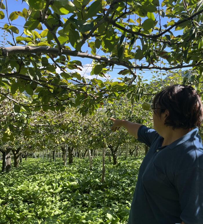 由紀さんのあとを付いて果樹園の説明をうける