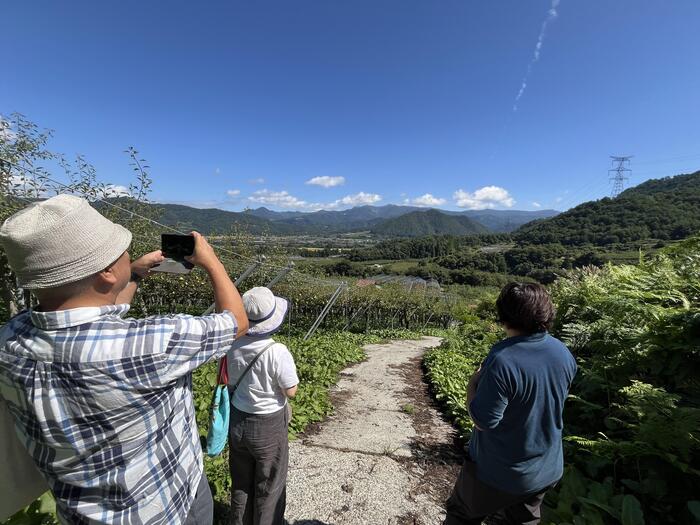 果樹園の傾斜がわかりますね。奥に見えるのが蔵王連峰です