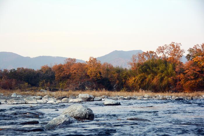 長瀞ライン下り