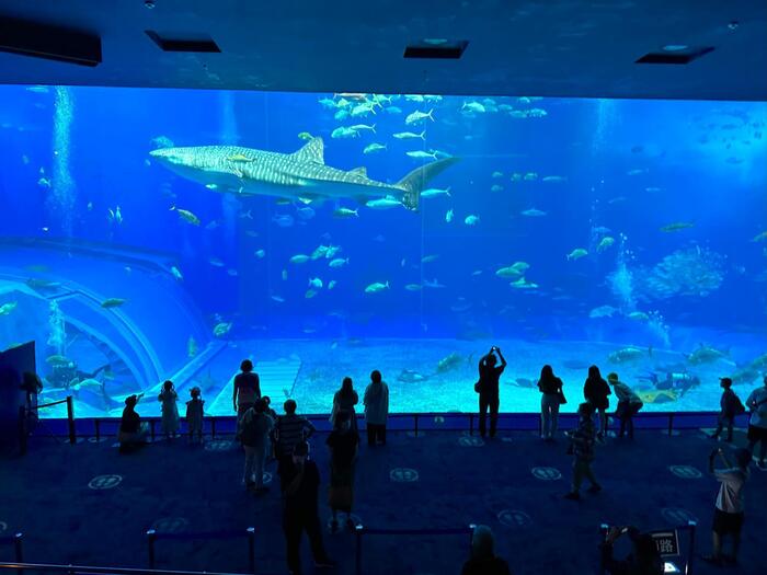 沖縄美ら海水族館
