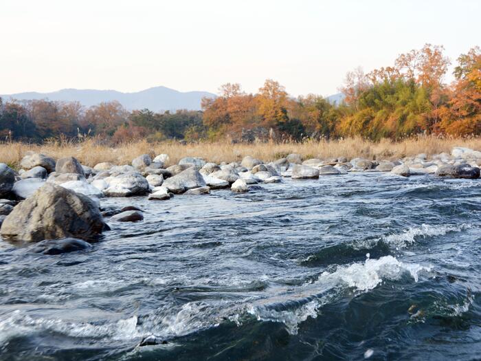 長瀞ライン下りの流れの速いエリア