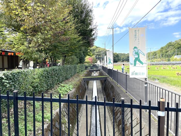 田んぼ用水路に並ぶのぼり旗＞