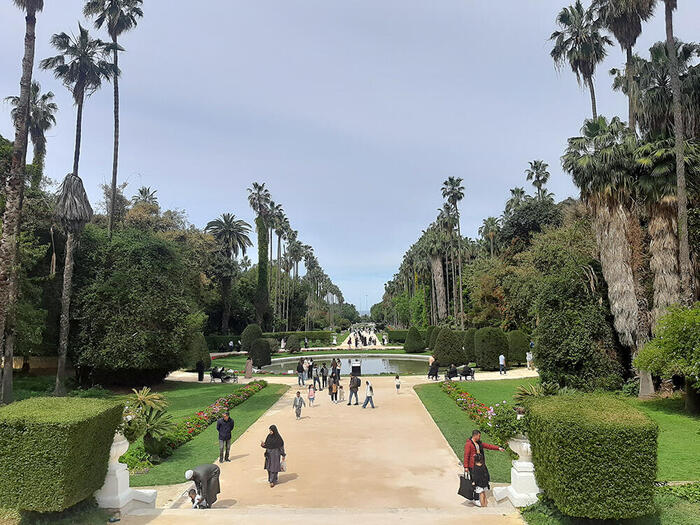 実写版映画『ターザン』の撮影地｜ハンマ庭園