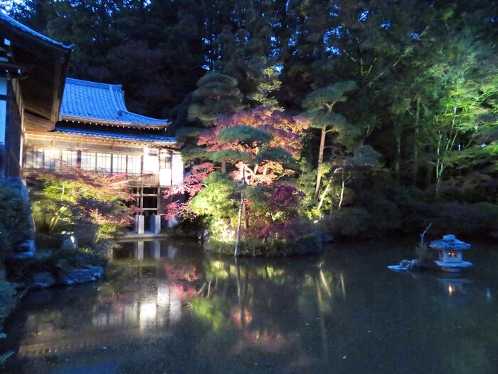 寳登山神社の記念館付近の紅葉