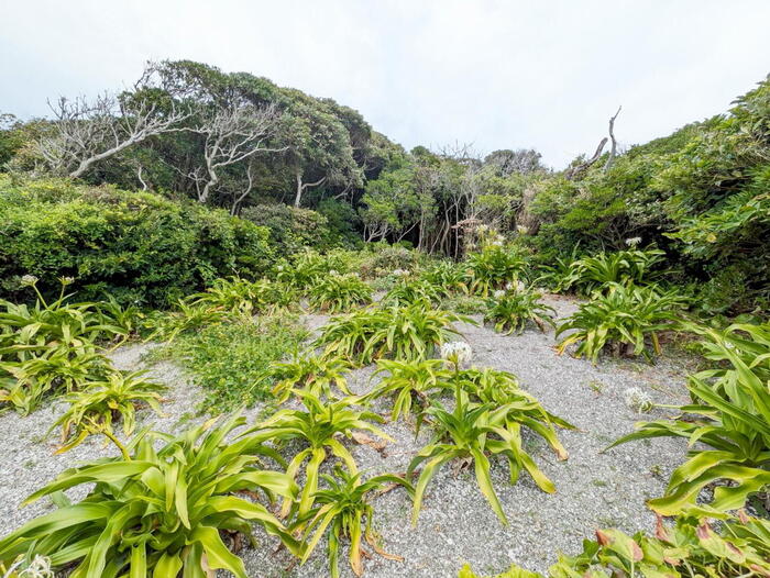 天神島臨海自然教育園(天神島ビジターセンター)