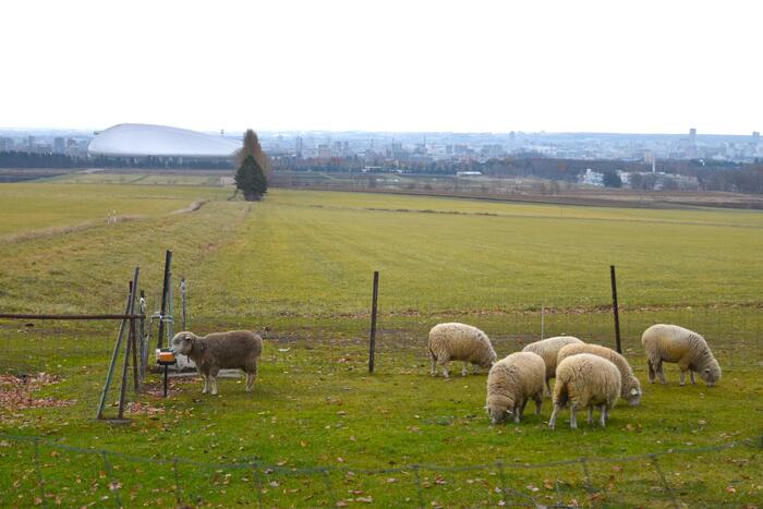 大和ハウスプレミストドーム