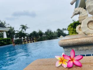 ブログイメージ