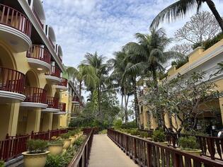 ブログイメージ