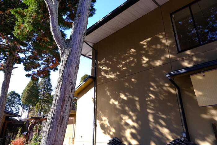 山神温泉 湯乃元館の外観