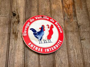 ブログイメージ