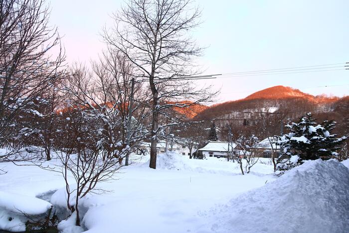 雪の一面の景色