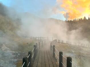 ブログイメージ