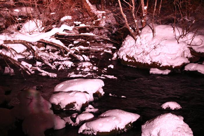 冬の奥入瀬氷瀑ナイトツアー