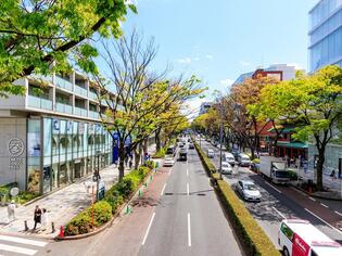 ブログイメージ