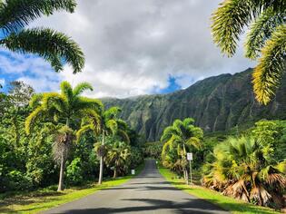 ブログイメージ