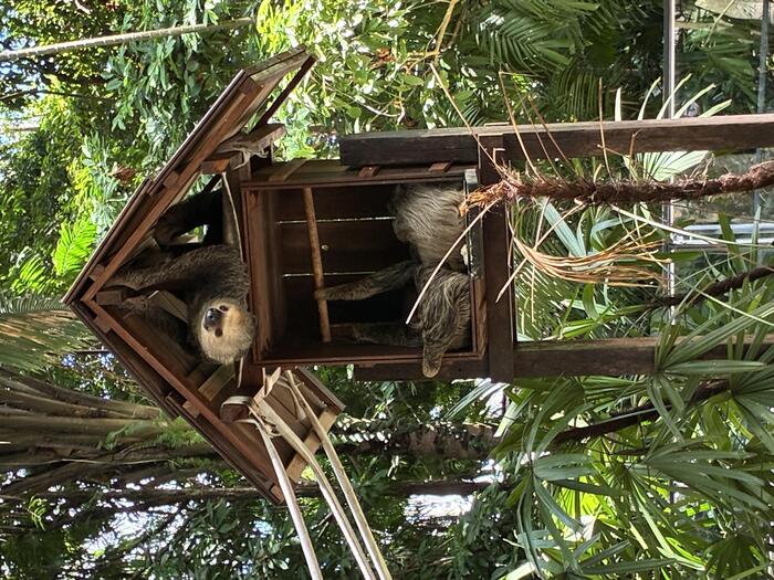 エミリオ・ゴエルジ・パラ博物館　園内