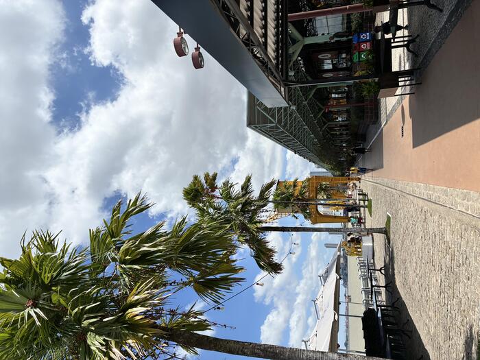 ベレンに行けば、アマゾン川沿いの道路