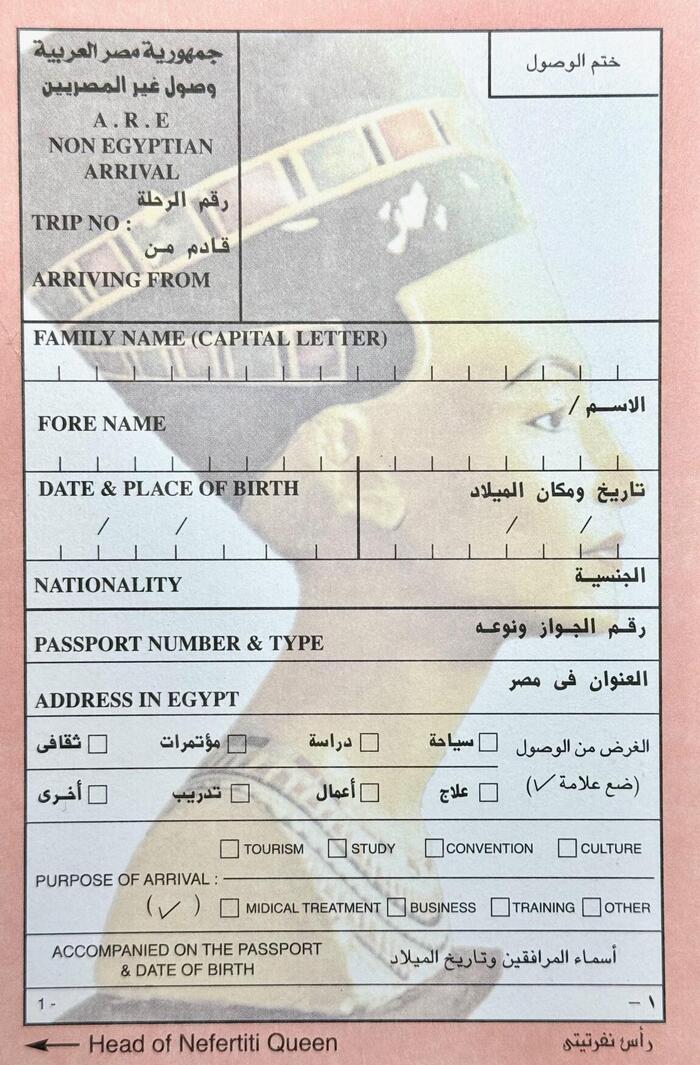 エジプト　入国カード