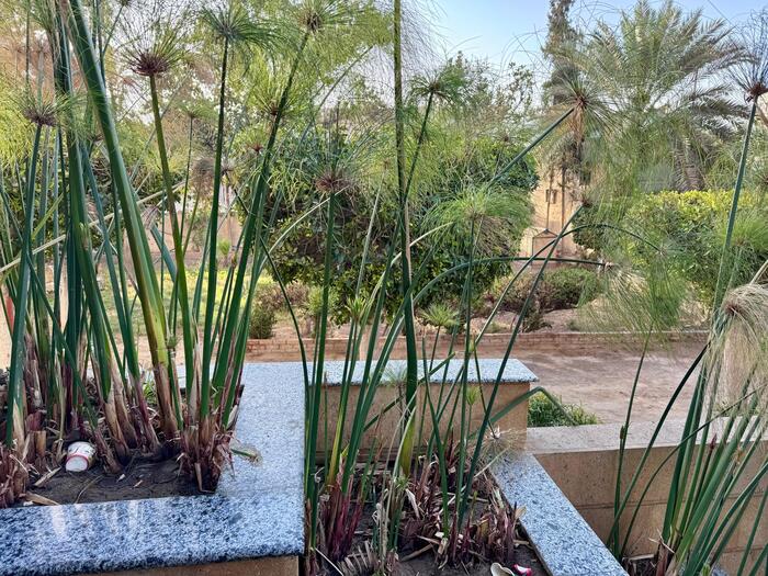 エジプト　ギザ　パピルス店　3 Pyramids Papyrus institute